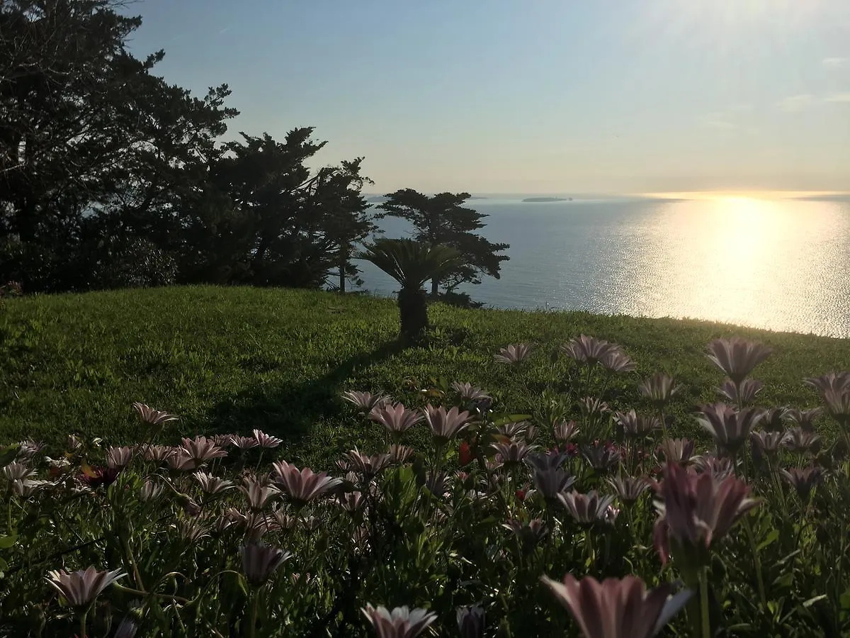 Association Villa Saint Camille Théoule-sur-Mer Kompleks wypoczynkowy